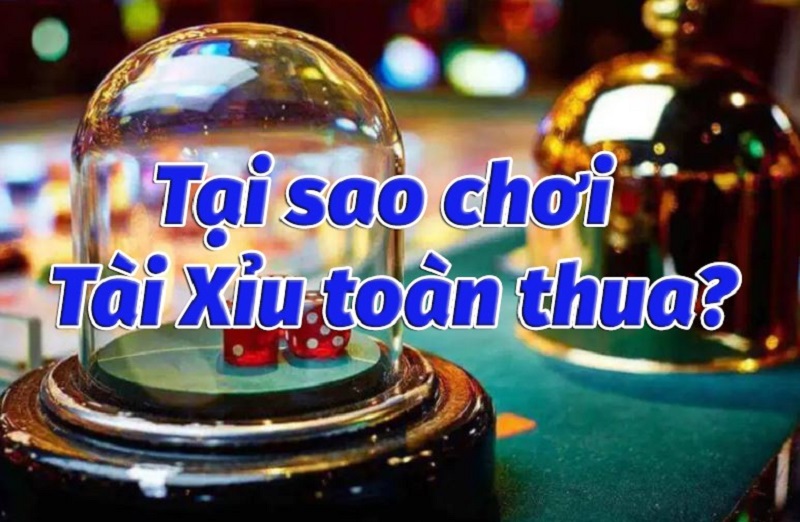 Vì sao chơi tài xỉu luôn thua