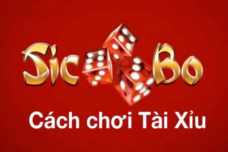 Cách Chơi Tài Xỉu Không Bao Giờ Thua