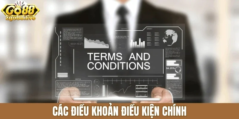 Các điều khoản điều kiện chính