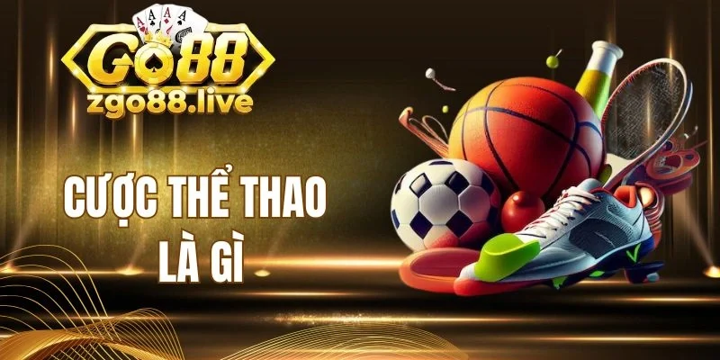 Nhiều loại hình cá cược thể thao thắng lớn 