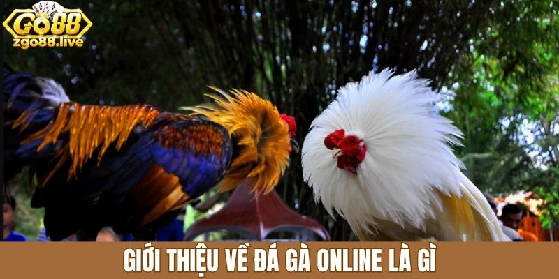 Giới thiệu về đá gà online là gì