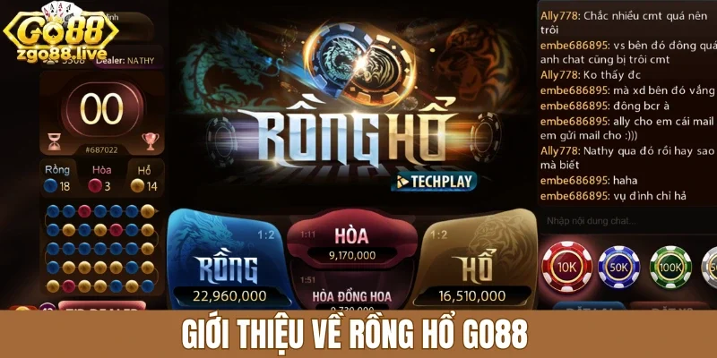 Giới thiệu về rồng hổ Go88 