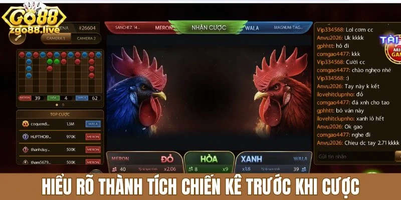 Hiểu rõ thành tích chiến kê trước khi cược