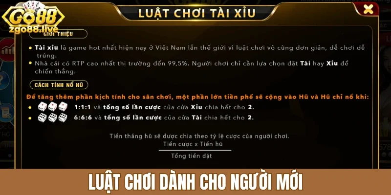 Luật chơi dành cho người mới