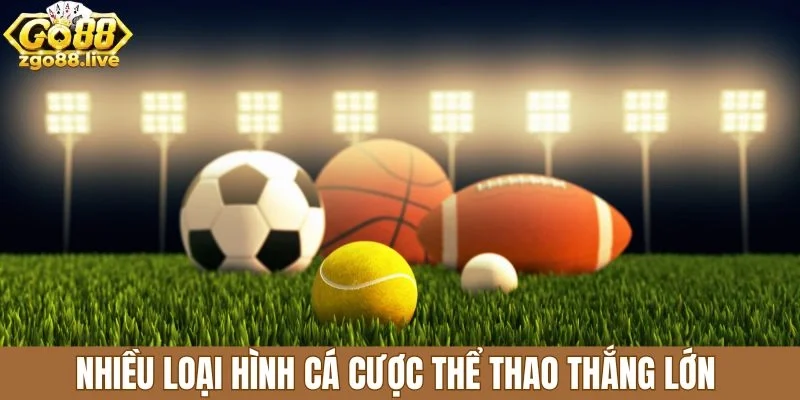 Nhiều loại hình cá cược thể thao thắng lớn 
