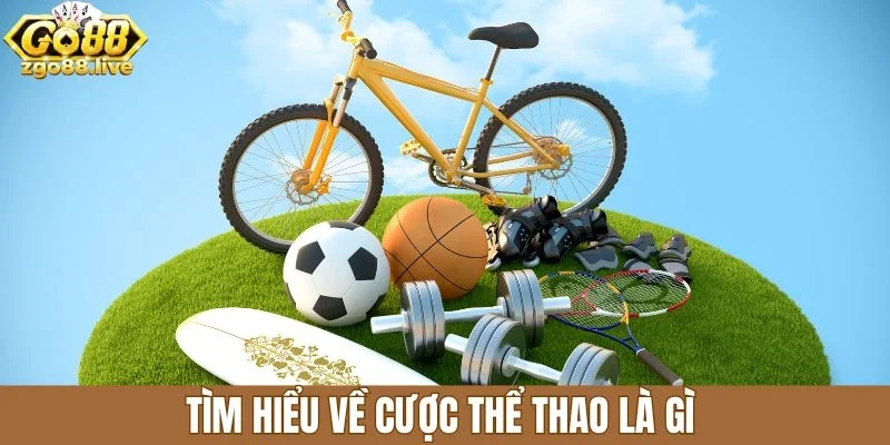 Tìm hiểu về cược thể thao là gì